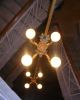 DSCN5521