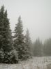 foggy view