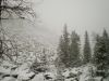 about 200-300 metres from the top