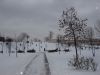 Ноябрь 2007