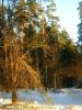 Жизнь обломала