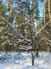 Снежный серпантин