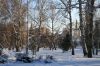 зимнее утро