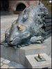 Подопытный кролик