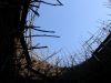 DSC03304