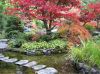 Японский сад. Многоцветие осени