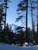 Петрос