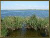 Веселовское водохранилище