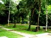 Park by waterfall#2