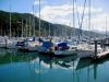 Yachts in Picton