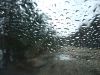 DSCF3122