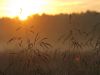 IMG 4166