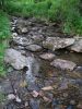 IMG 8919