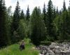 IMG 8928