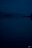 IMG 0603