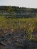 IMG 7745