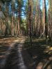 IMG 7841