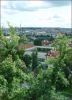 Все в зелени.