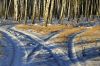 Развилка