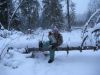 через лес