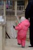 Спускаясь к сестренке