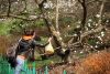 Тяга к прекрасному