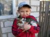 Егор и котики