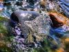 игра воды