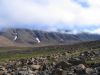 IMG 5460