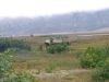 IMG 5627