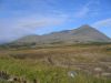 IMG 5680