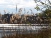 жизнь после смерти