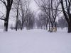 Наконец зима