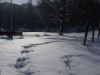Зима в моем городе