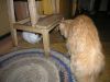 DSCN3168