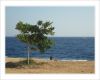 У самого синего моря