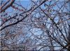 11.03.10 Утро. 