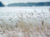 IMG 0299-мини