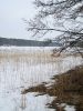 IMG 0300-мини