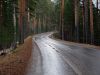 IMG 0310-мини