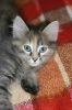 Varya_1