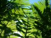 DSCN0886