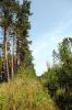 Волна