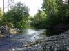 Вниз по реке