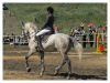 IMG 0375 копия
