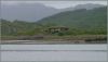 DSC03699-1