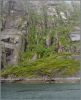 DSC03717-1