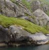 DSC03754-1