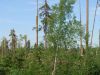 Поломаные ветром деревья