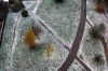 один из видов сверху...